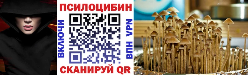 где найти   это какой сайт  Псилоцибиновые грибы Psilocybine cubensis  Кувшиново 